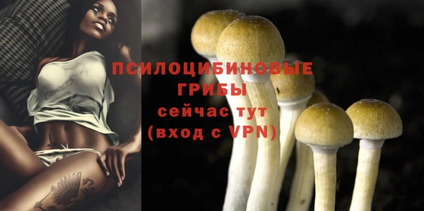 MDMA Дмитров
