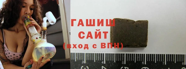 мдпв Елабуга