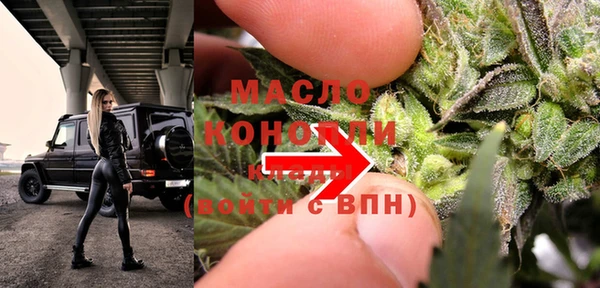 мдпв Елабуга