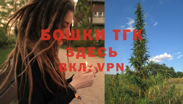 кокс Ельня