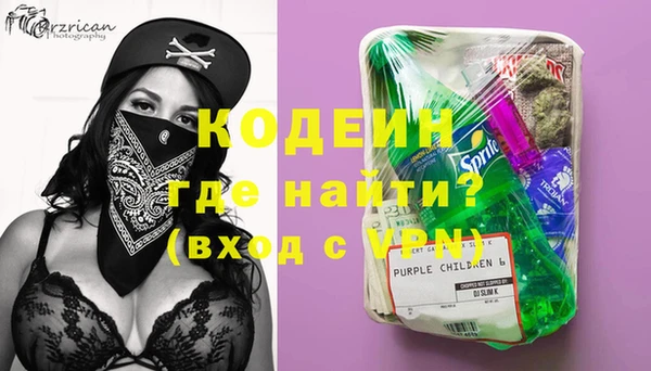 мдпв Елабуга