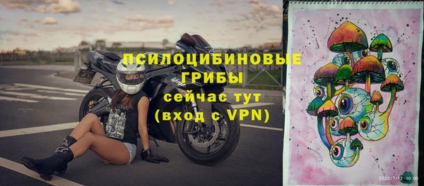 твердый Елизово