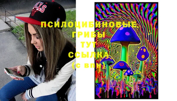 твердый Елизово