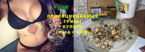 мет Щигры