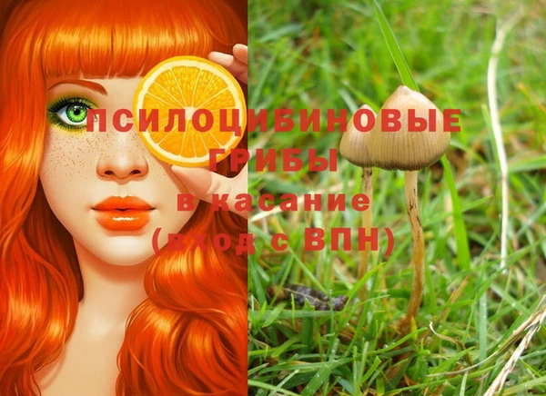 мдпв Елабуга