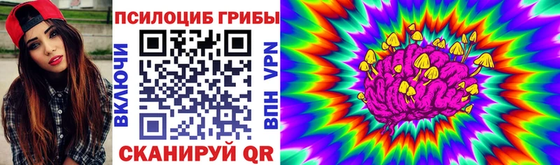 Галлюциногенные грибы Psilocybe  что такое   Очёр 